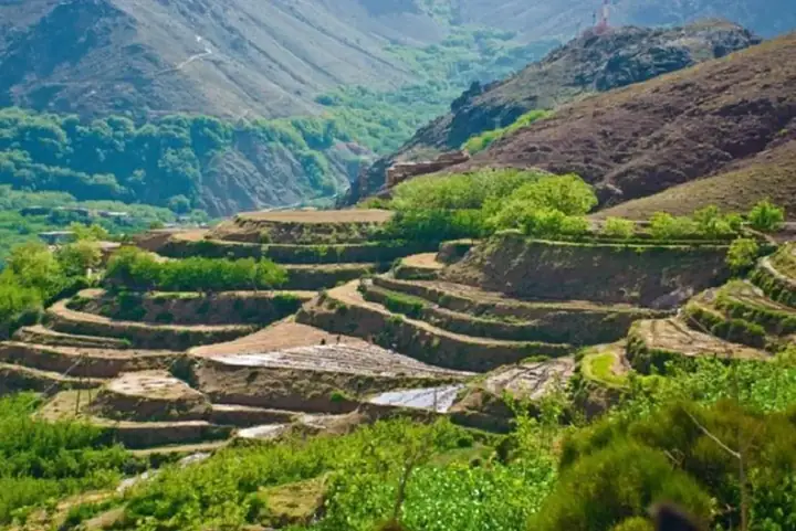 Terrazas de cultivo en un valle del Alto Atlas