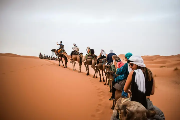 Viajeros en caravana de camellos entrando en las dunas