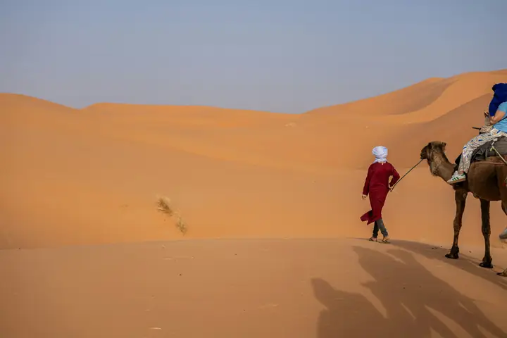 Guía bereber de Camello Viaje guiando un dromedario por las dunas