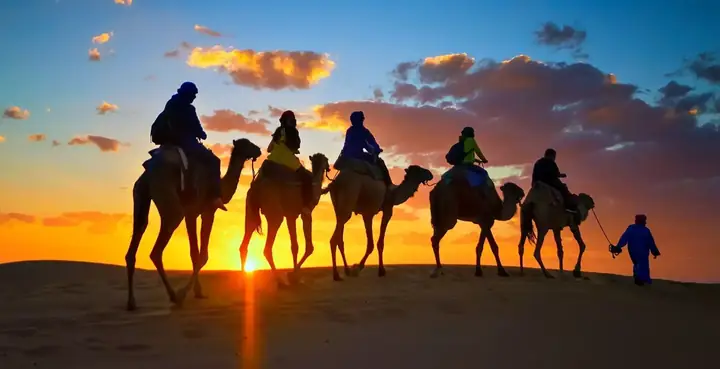 Caravana de camellos al atardecer en el Sahara