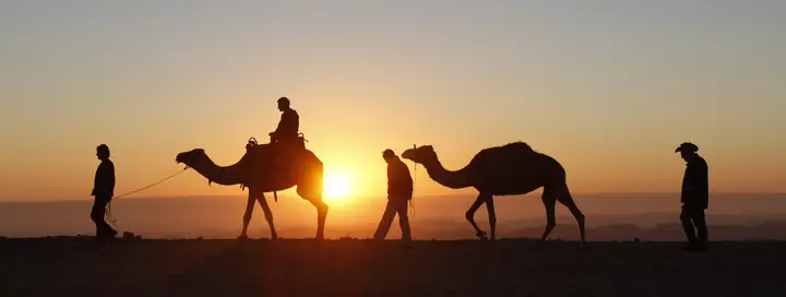 Camellos y camelleros a contraluz al atardecer