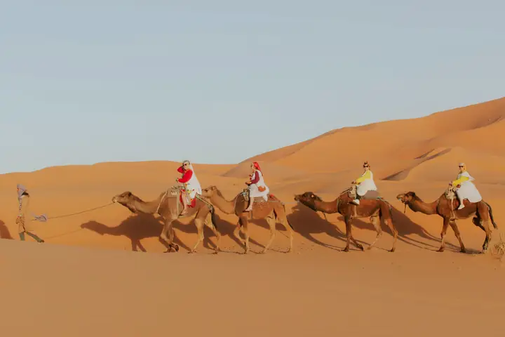 Caravana de camellos con mantas de colores cruzando las dunas