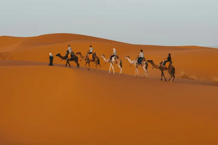 Caravana de dromedarios avanzando por dunas doradas