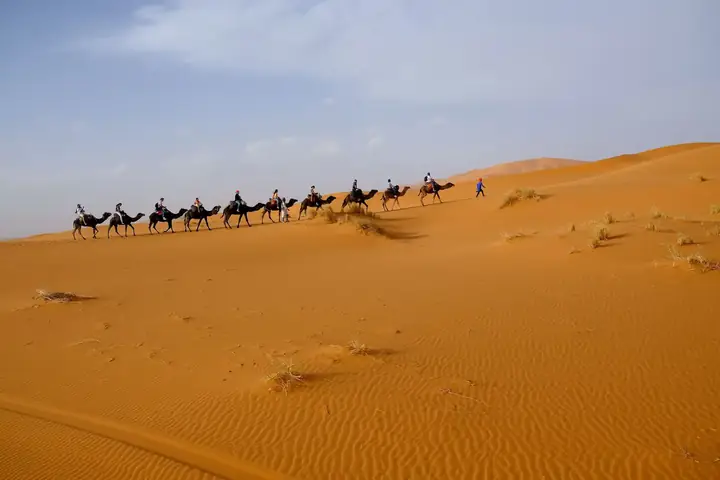 Larga caravana de dromedarios cruzando el Sahara