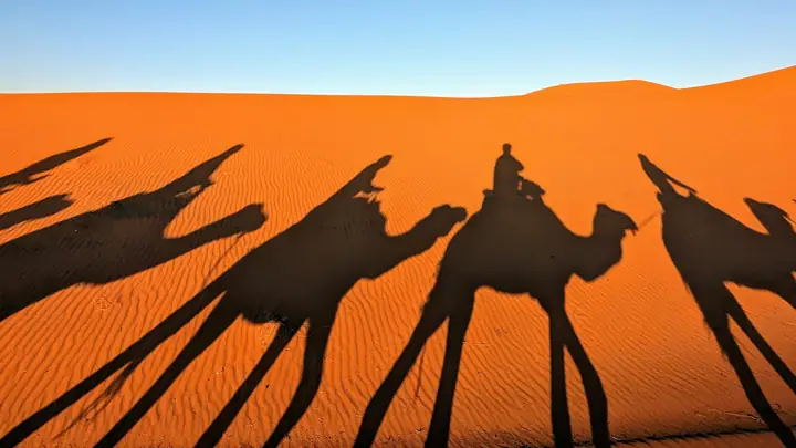 Sombras alargadas de una caravana de camellos sobre una duna